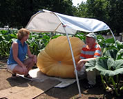 Marlane and Dr. Liggett with his giant pumpkin